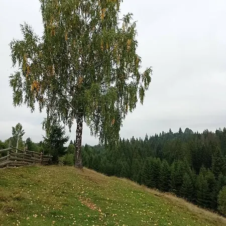 Holiday home ловіть промені