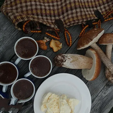 ловіть промені *